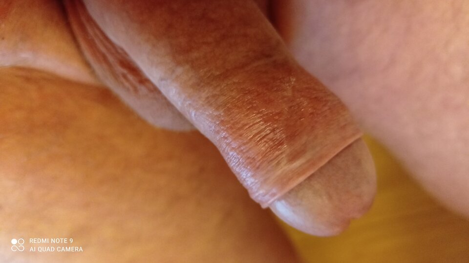 IMG_20220208_182329.jpg - ardas1