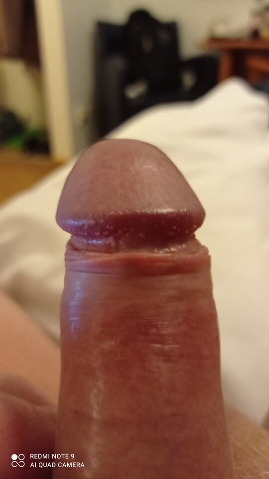 IMG_20220208_182934.jpg - ardas1