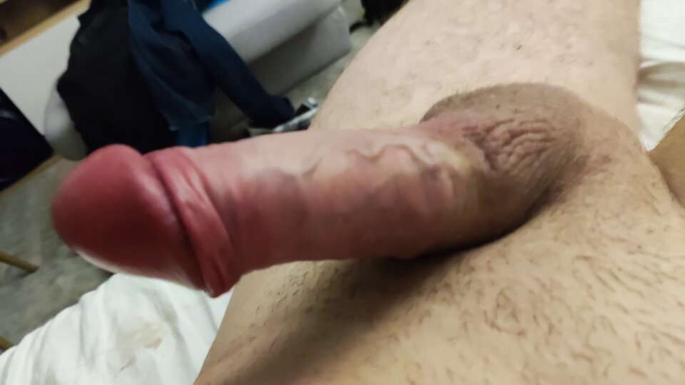 1644365081317.jpg - pawa