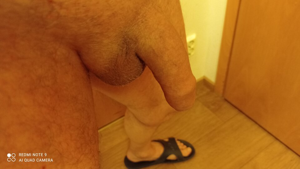 IMG_20220209_174550.jpg - ardas1