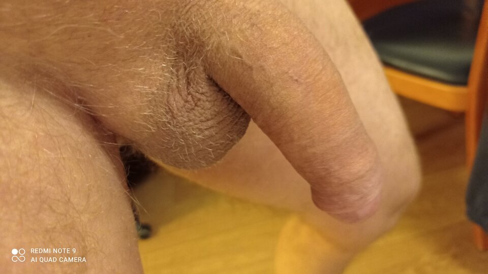 IMG_20220209_174613.jpg - ardas1