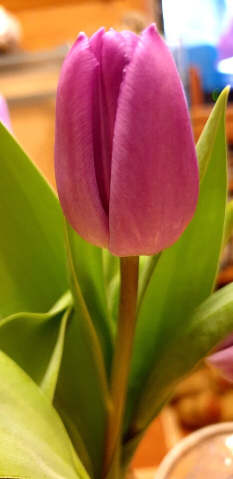 20220209_231630.jpg - Sh_e