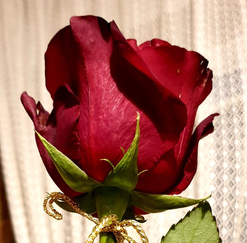 20220209_235902.jpg - Sh_e