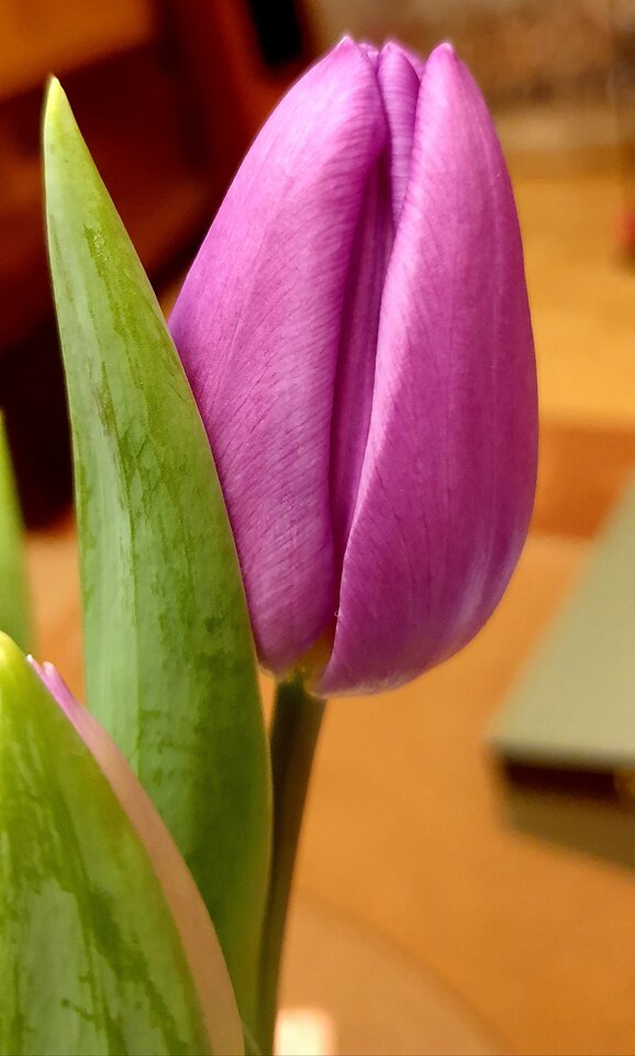 20220210_011902.jpg - Sh_e