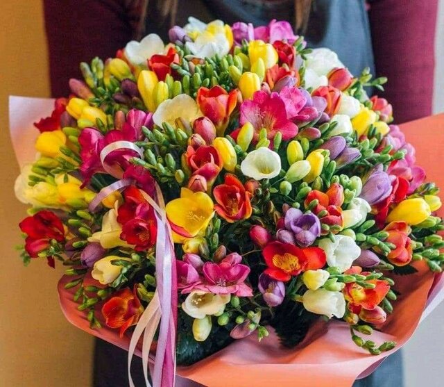 FB_IMG_1643297728496.jpg - DminikDominika