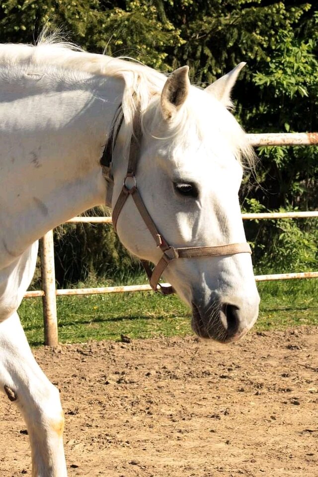 1644514238638.jpg - Chudy1481