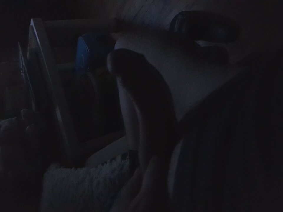 20220210_232634.jpg - Losmentos