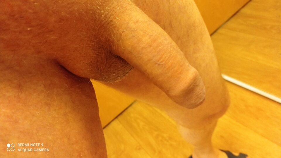 IMG_20220210_173405.jpg - ardas1