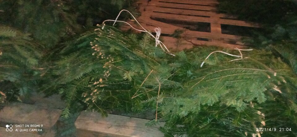 IMG_20210409_210410.jpg - pawlojack