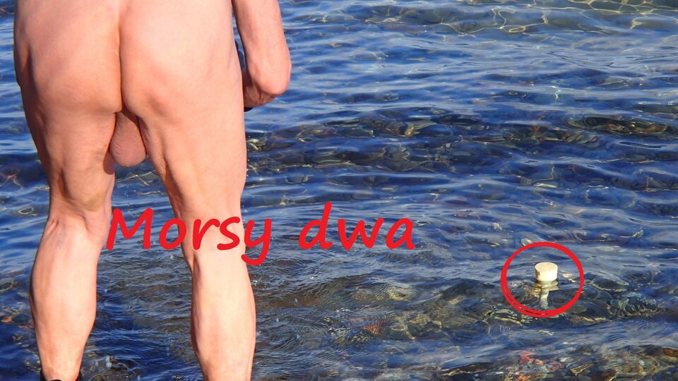 Zbiornik 1632 - Morsy_dwa