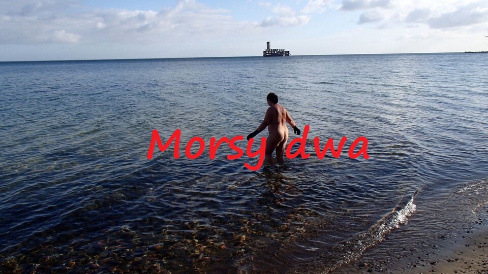 Zbiornik 1636 - Morsy_dwa