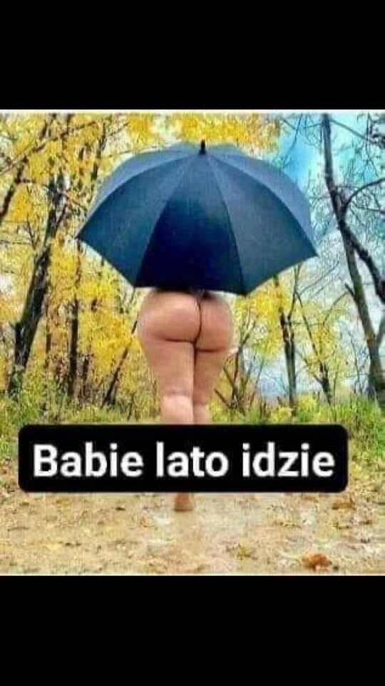 received_648339839145496.jpeg - Inkognito90