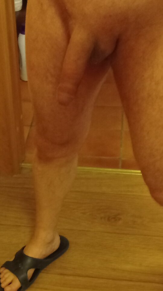 IMG_20220212_070834.jpg - ardas1