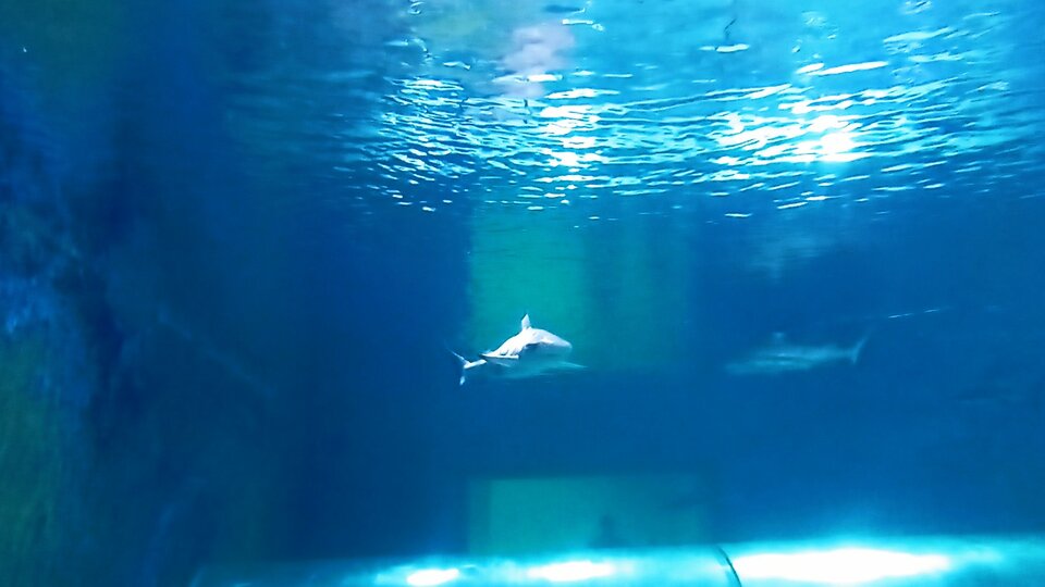 Wyjazdowo.jpg - Sexoludy