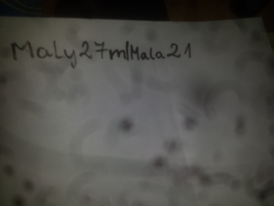 20220213_052129.jpg - Maly27mlMala21