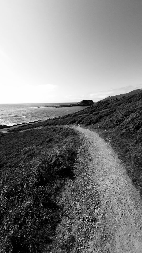20200913_142937.jpg - niesmiala2412