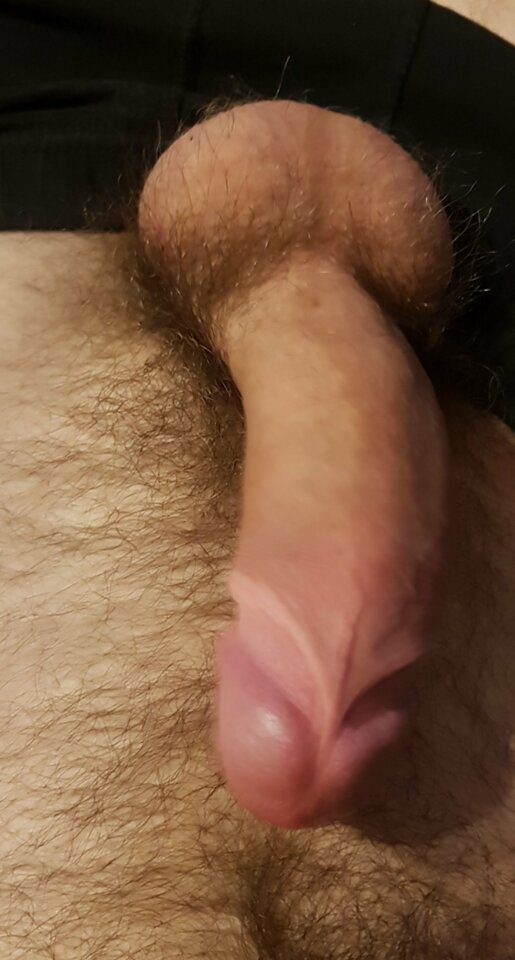 USER_SCOPED_TEMP_DATA_orca-image-1644341584026_68968684832483266 - Lordik9495