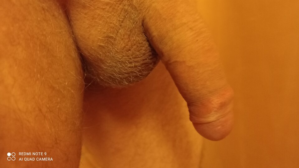 IMG_20220214_061222.jpg - ardas1