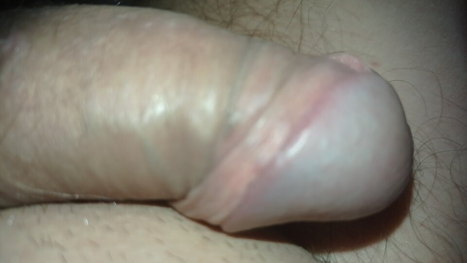 IMG_20220214_070654.jpg - dupekalex