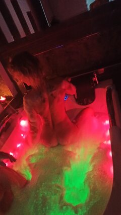 IMG_20220214_093251.jpg