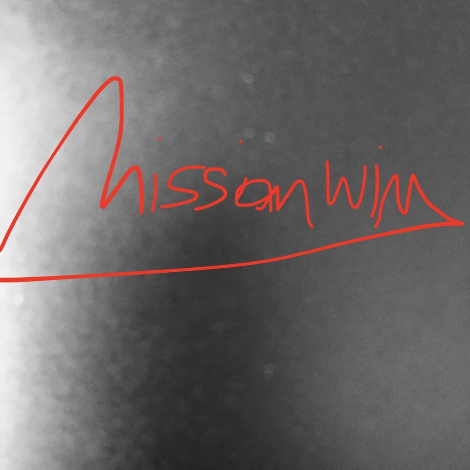 Dick shadow.jpeg - missionwin