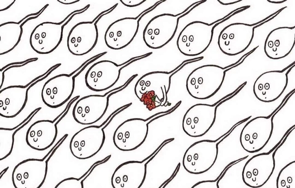 FB_IMG_1644853374024.jpg - ChudyMce