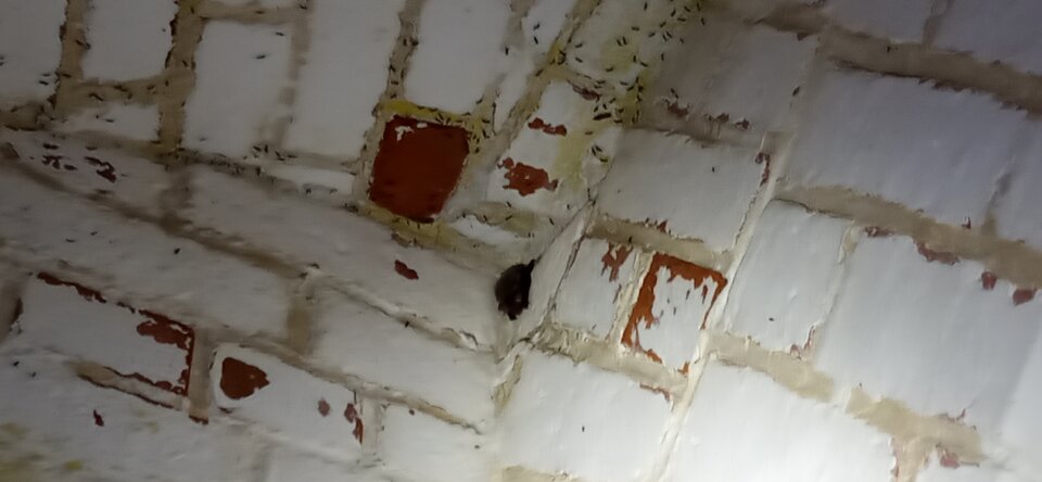 Gacoperz 🤗🤗 - Maciek1182