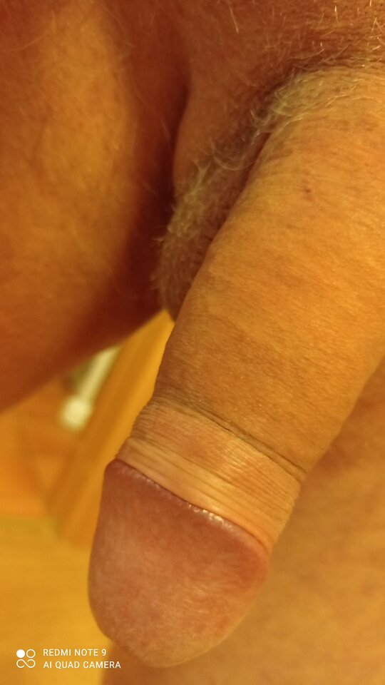 IMG_20220215_200217.jpg - ardas1