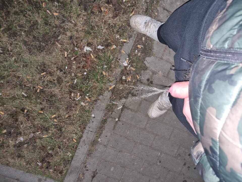 16449711399235406847239399733476.jpg - WyssamCie69