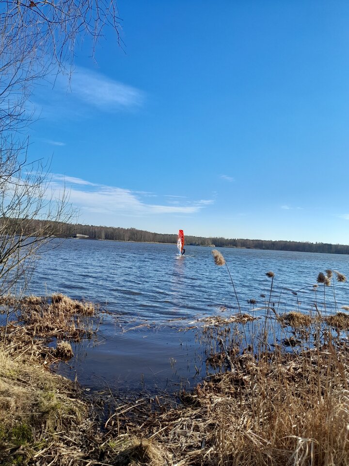 20220216_141004.jpg - Ambrozja2