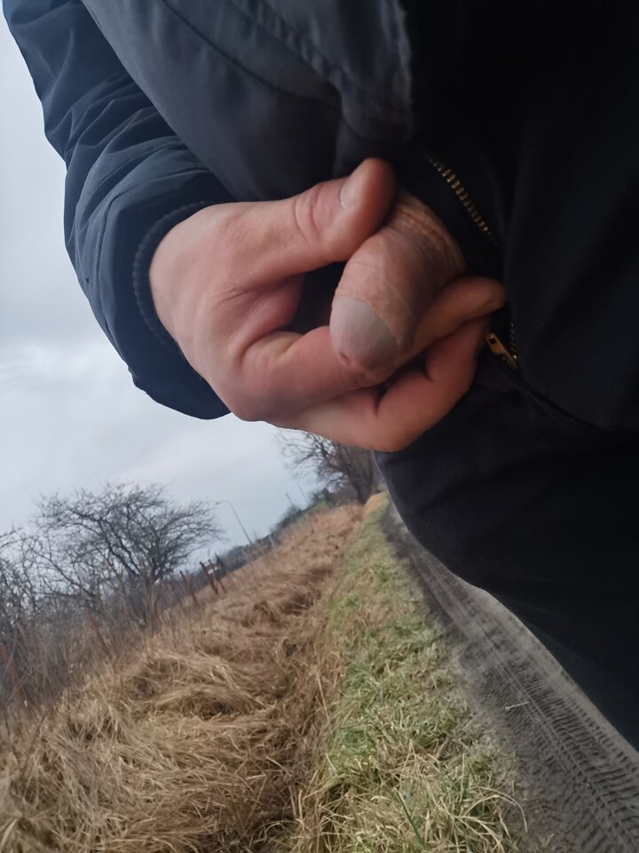 IMG_20220215_071550.jpg - Mabakol