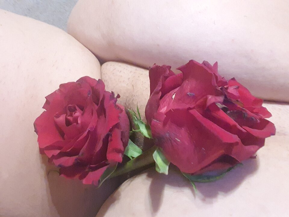 Walenttnkowe kwiaty użyte w niecnych celach :) - hodorkowie2