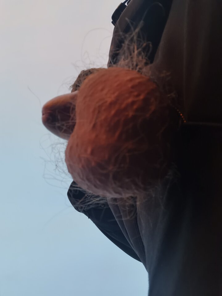 IMG_20220216_070906.jpg - Mabakol