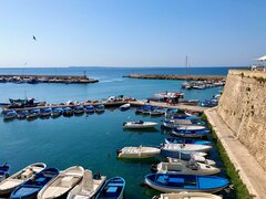 IMG_2163.jpeg