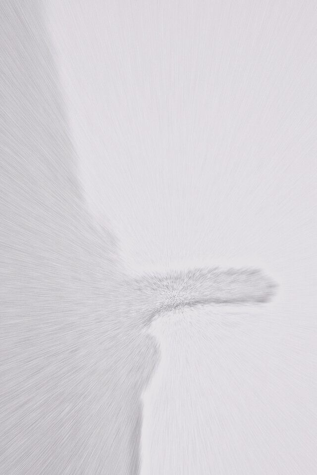 Nyso29