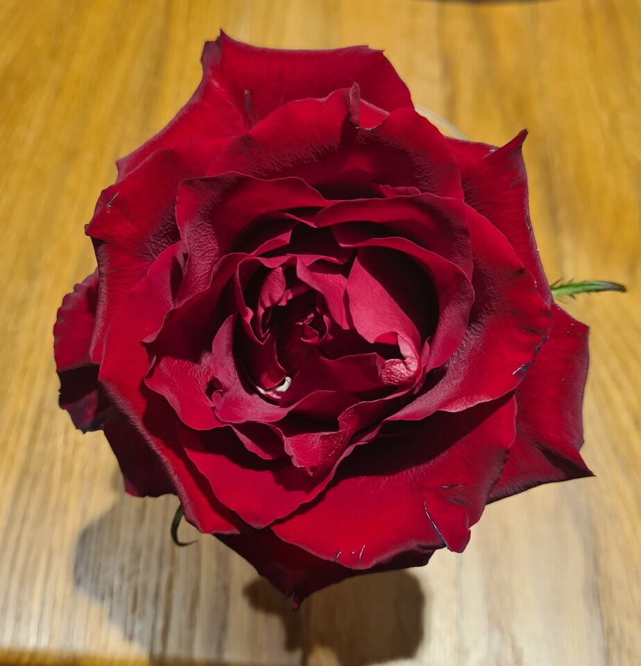 20220217_191442.jpg - LauraTranss