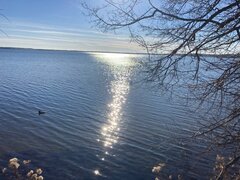 IMG_5706.jpg