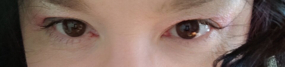 IMG_20220220_141815.jpg - Puch_chatka