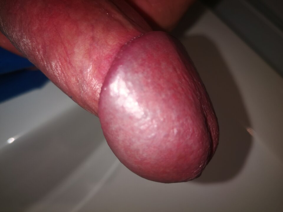 IMG_20220221_052712.jpg - toruniak1980