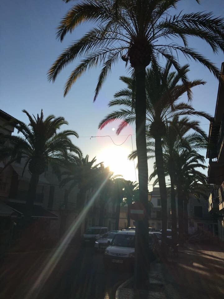 A78ADC56-8CC4-432D-A3C2-30A41C3E52B9.jpeg - Henryk1