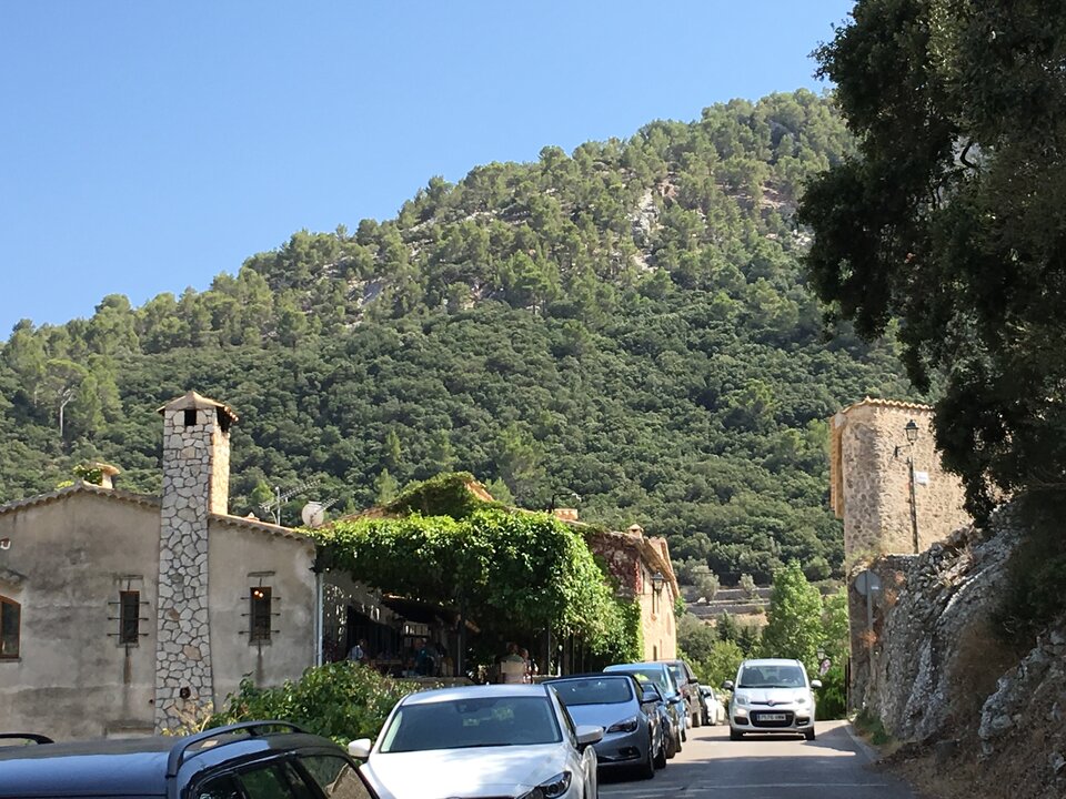 F177C704-7415-42C9-A35C-BFDB1BE1F062.jpeg - Henryk1