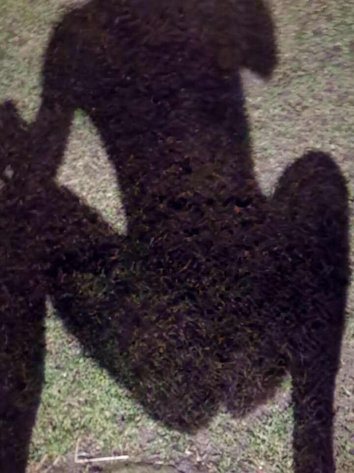 IMG_20220220_234223.jpg - Mabakol