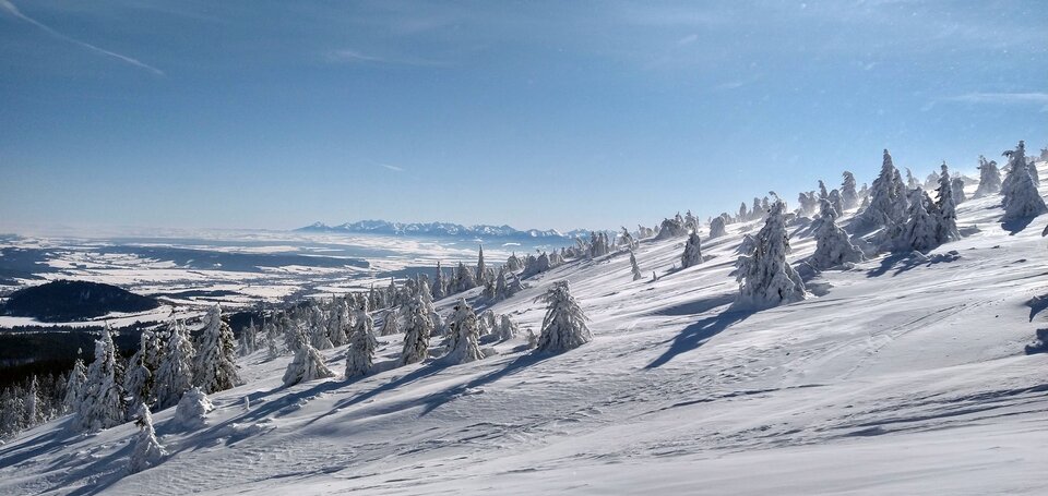 IMG_20220213_110801882_HDR.jpg - dunkel