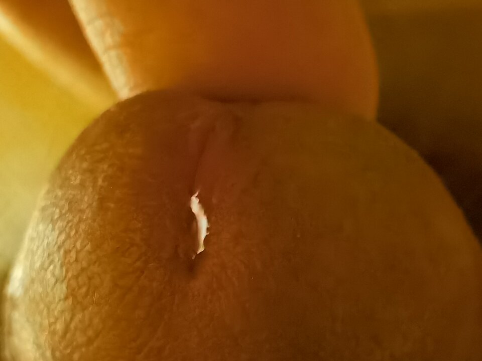 IMG_20220221_004732.jpg - Mabakol