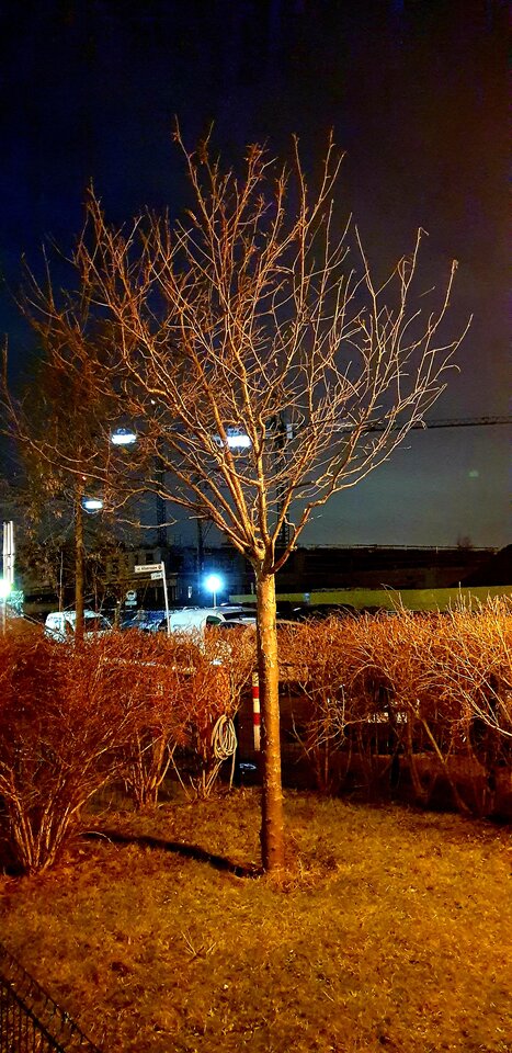 20220217_192623.jpg - Sh_e