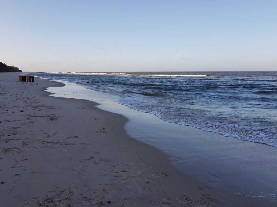 20190213_151819.jpg - MalyWacusAleWariat