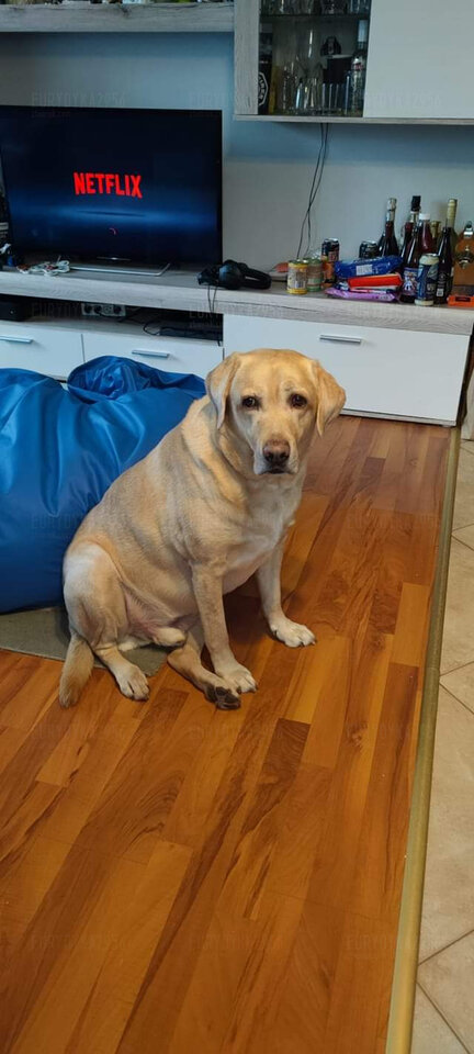 FB_IMG_1645552696755.jpg - Eurydyka2956