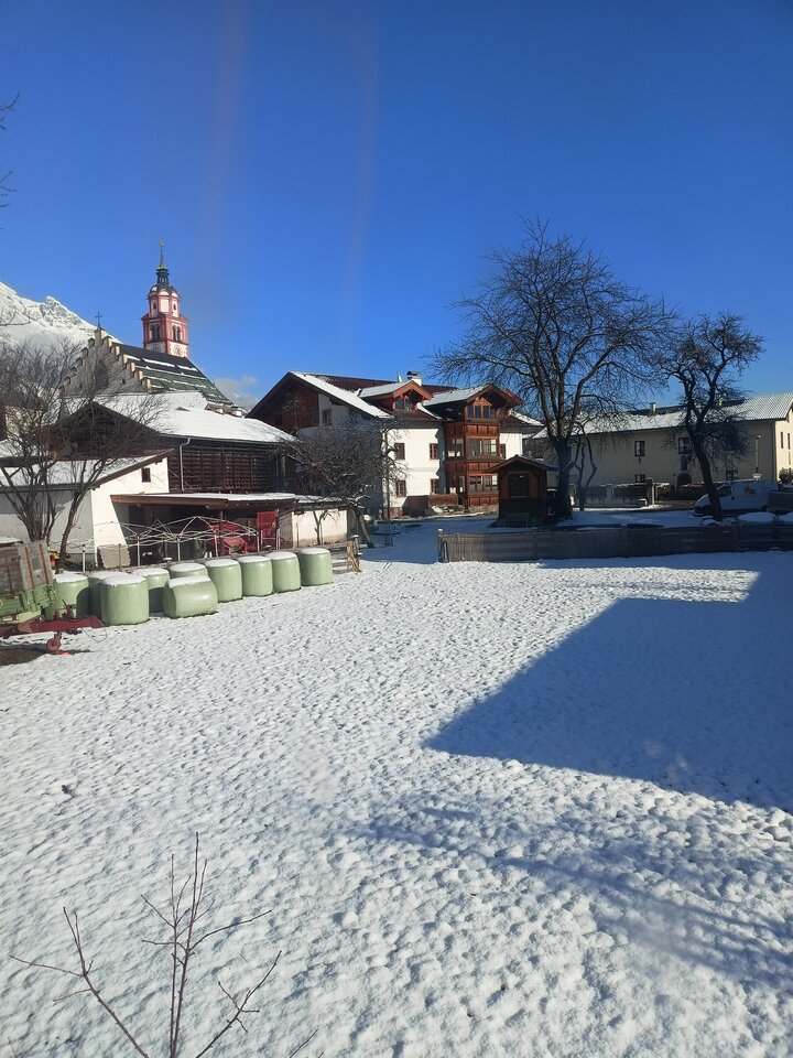 IMG20211212122557.jpg - FalconBlack1