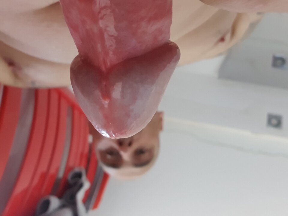 20210814_164134.jpg - MacXaviers