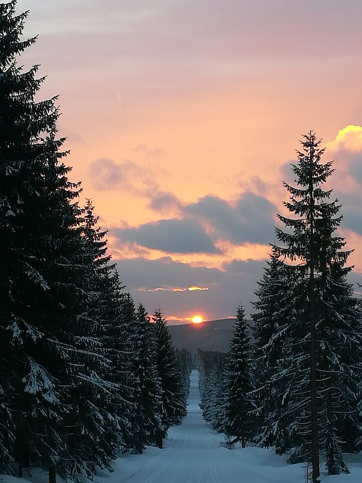 IMG_20220222_172410.jpg - LucyintheSkywithDiamond